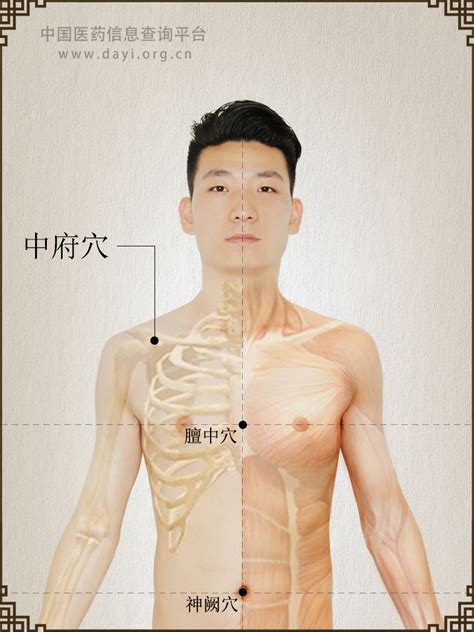 通天穴|通天穴:名稱釋義,別名,功能作用,治法,定位,解剖,主治,操作,臨床運。